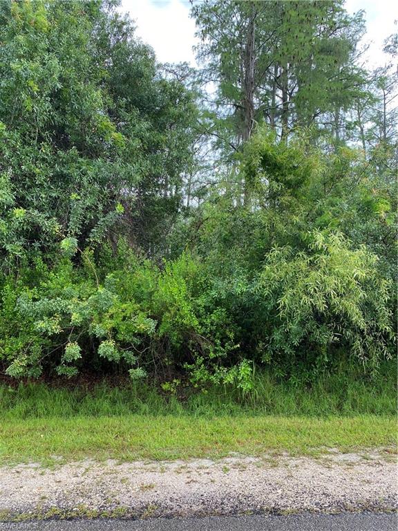 16th Street Northeast Naples, FL 34120 - Photo 1 of 2 a view of a yard with plants and large trees