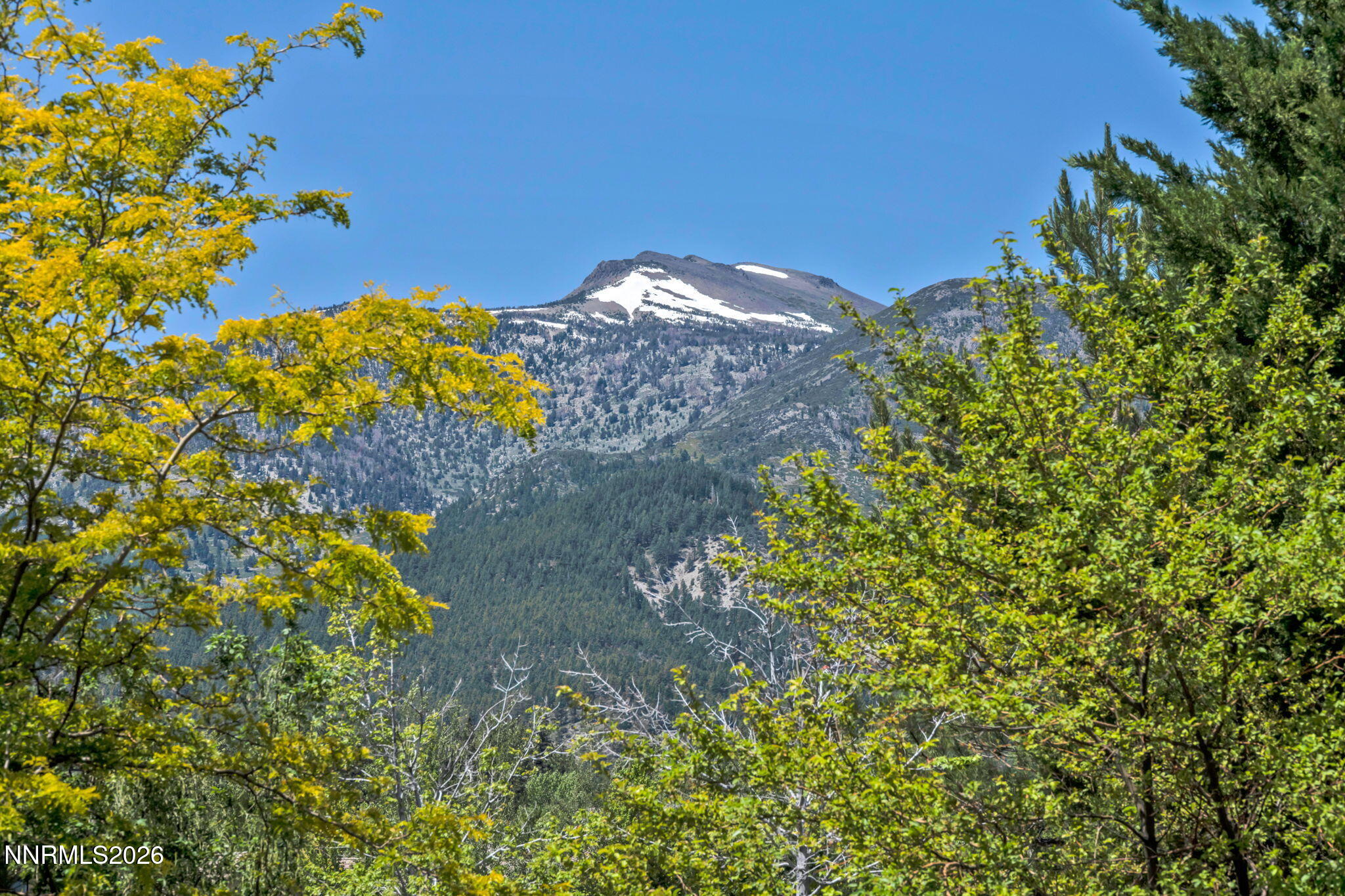 5808 Tannerwood Drive Reno, NV 89511 - Photo 108 of 112 21-web-or-mls-5808-tannerwood-dr