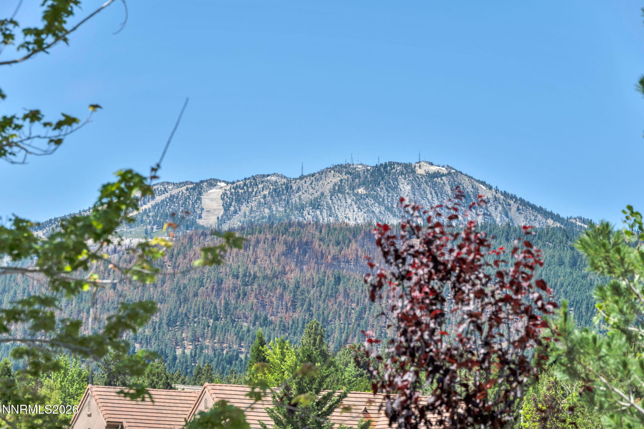 5808 Tannerwood Drive Reno, NV 89511 - Photo 97 of 112 24-web-or-mls-5808-tannerwood-dr
