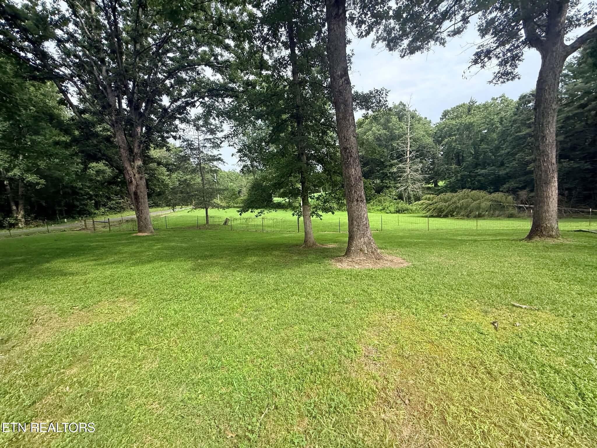 1250 Darrow Ridge Road Jamestown, TN 38556 - Photo 32 of 37