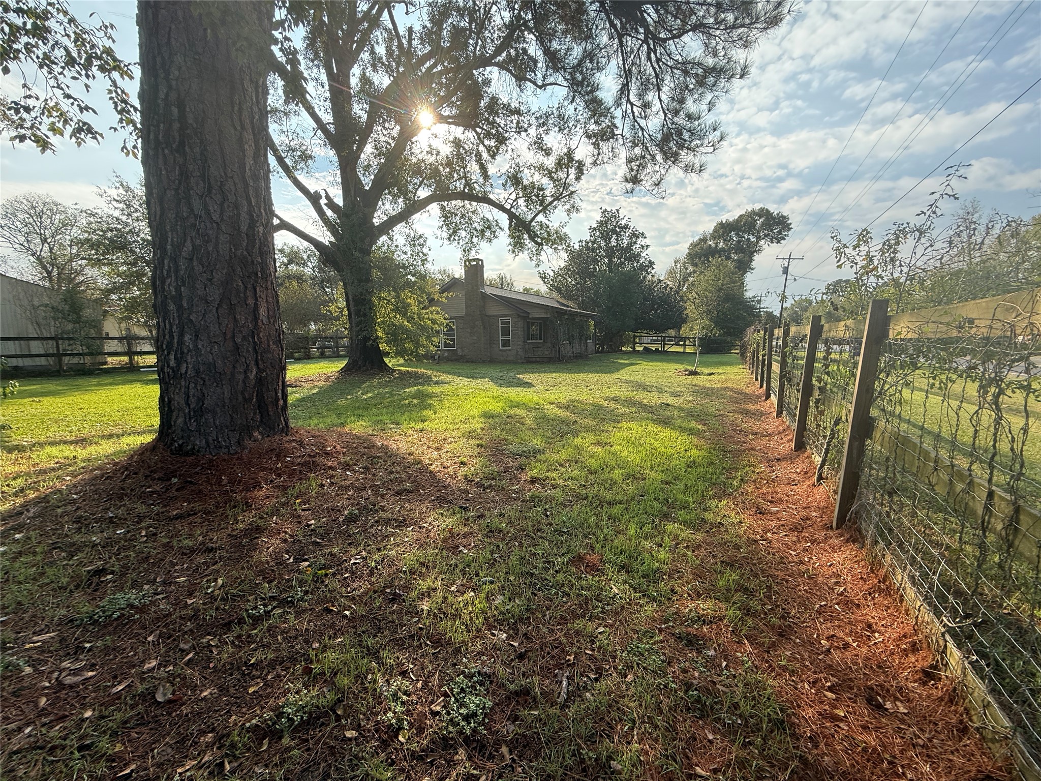 795 Highway 393 Loop Goodrich, TX 77335 - Photo 9 of 22 a view of a yard with trees