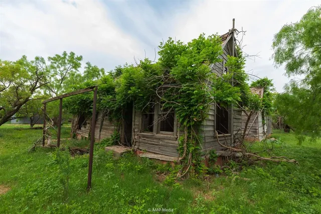 a view of a backyard with plants and a garden