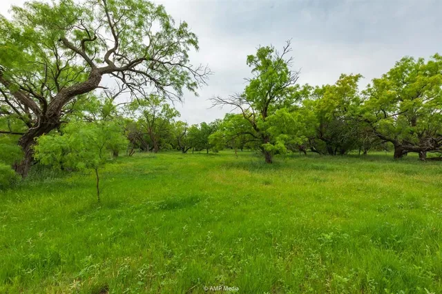 a view of green field with trees in the background