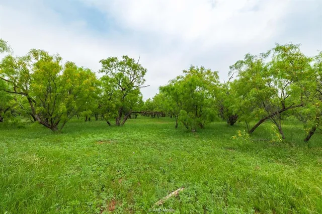 a backyard of a house with lots of plants and entertaining space