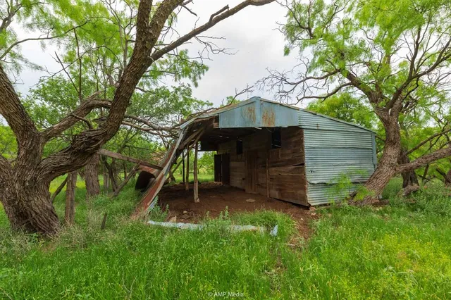 a view of backyard with wooden fence and a large tree