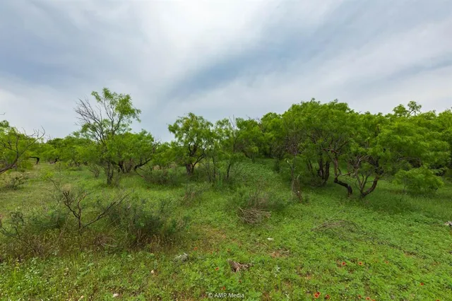 a backyard of a house with lots of green space and bench