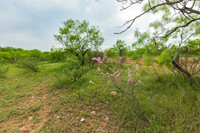 a backyard of a house with lots of green space and trees