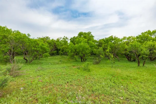a backyard of a house with lots of green space and plants
