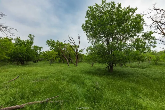 a view of an outdoor space and a yard
