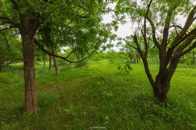 a view of green field with trees in the background