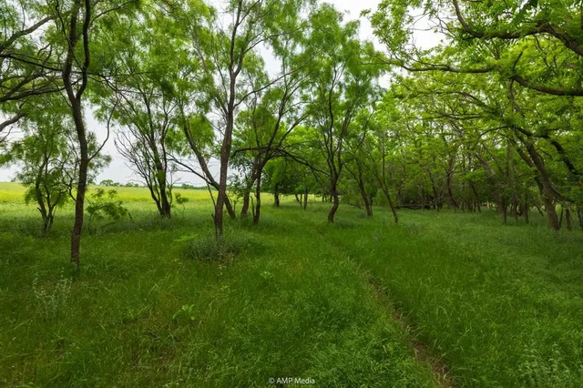 $1,218,000 | 3116 St Anson Tx 79501, Hawley, TX 79525