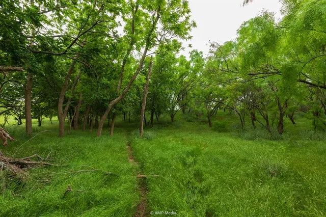 $1,218,000 | 3116 St Anson Tx 79501, Hawley, TX 79525