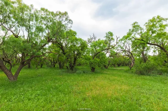 a view of an outdoor space and a yard