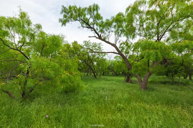 a view of yard with green space
