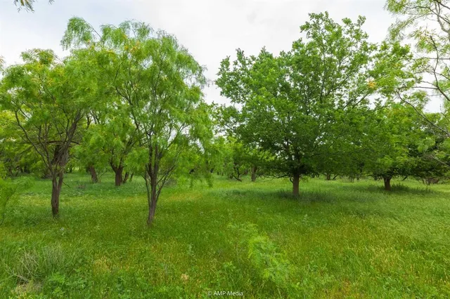 a view of grassy field with trees