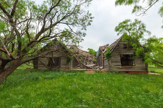 a backyard of a house with table and chairs a barbeque and a large tree