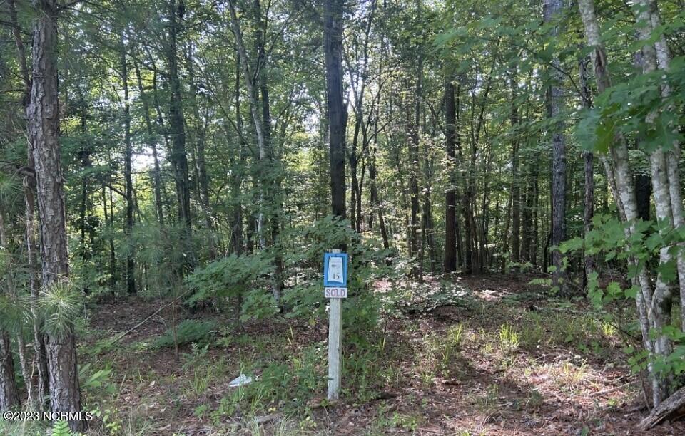 272 Riverhills Trail Rockingham, NC 28379 - Photo 3 of 4 thumbnail_IMG_7816
