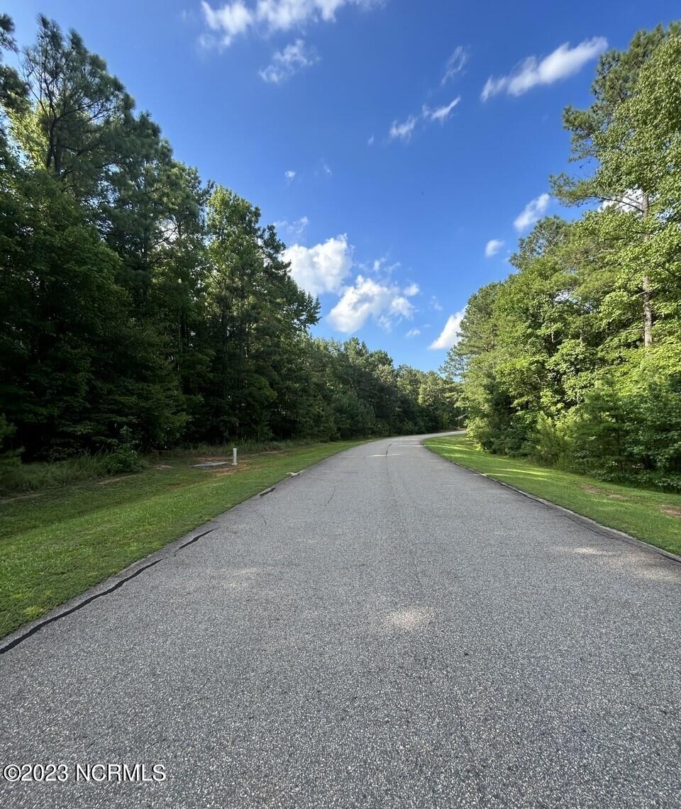 272 Riverhills Trail Rockingham, NC 28379 - Photo 4 of 4 4