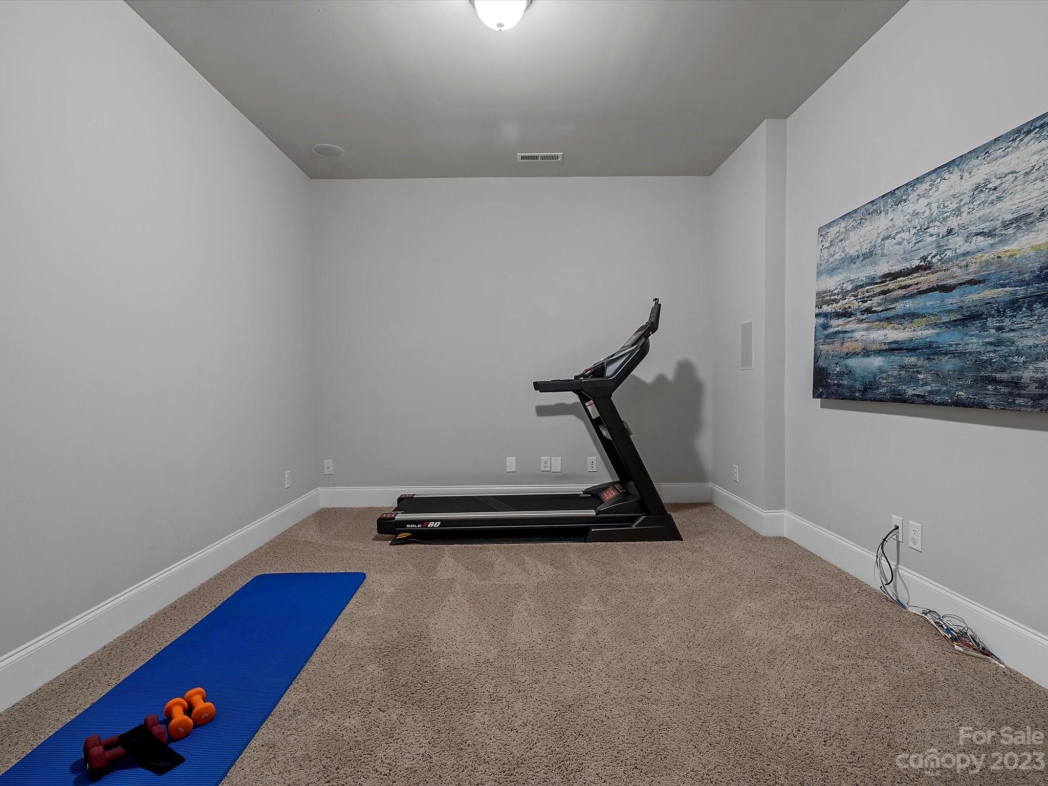 319 Olmstead Street Fort Mill, SC 29708 - Photo 39 of 43