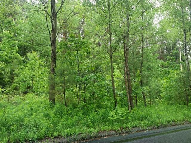 Lot 2 North Harding Avenue Harrison, MI 48625 - Photo 1 of 6