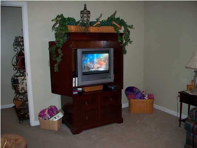 2037 New Lake Road Spring City, TN 37381 - Photo 12 of 25 Additional Photo