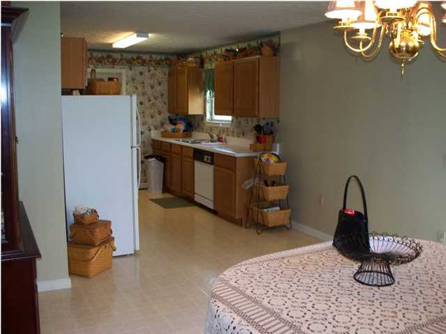 2037 New Lake Road Spring City, TN 37381 - Photo 20 of 25 Additional Photo
