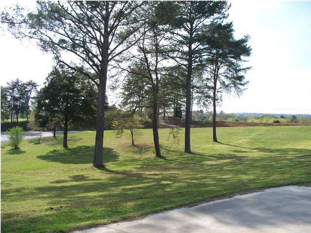 2037 New Lake Road Spring City, TN 37381 - Photo 22 of 25 Additional Photo