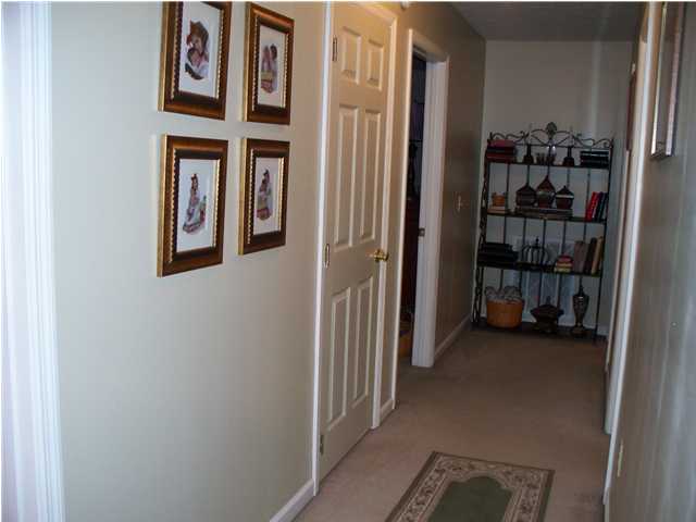 2037 New Lake Road Spring City, TN 37381 - Photo 9 of 25 Additional Photo