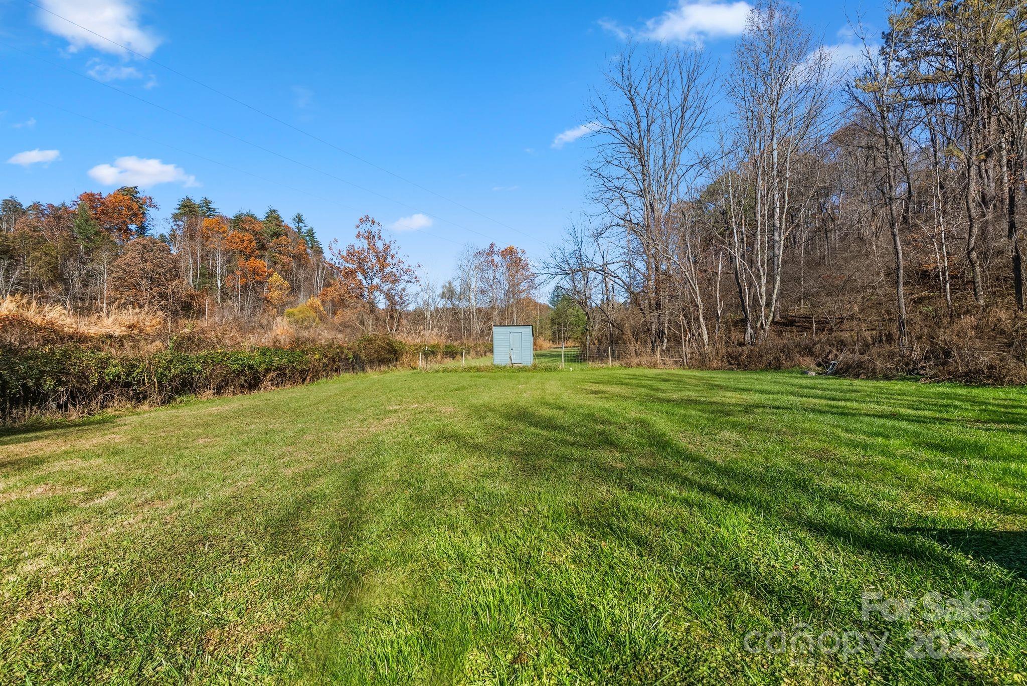 13 Holly Hill Farm Road Mars Hill, NC 28754 - Photo 38 of 44 a backyard of a house with lots of green space