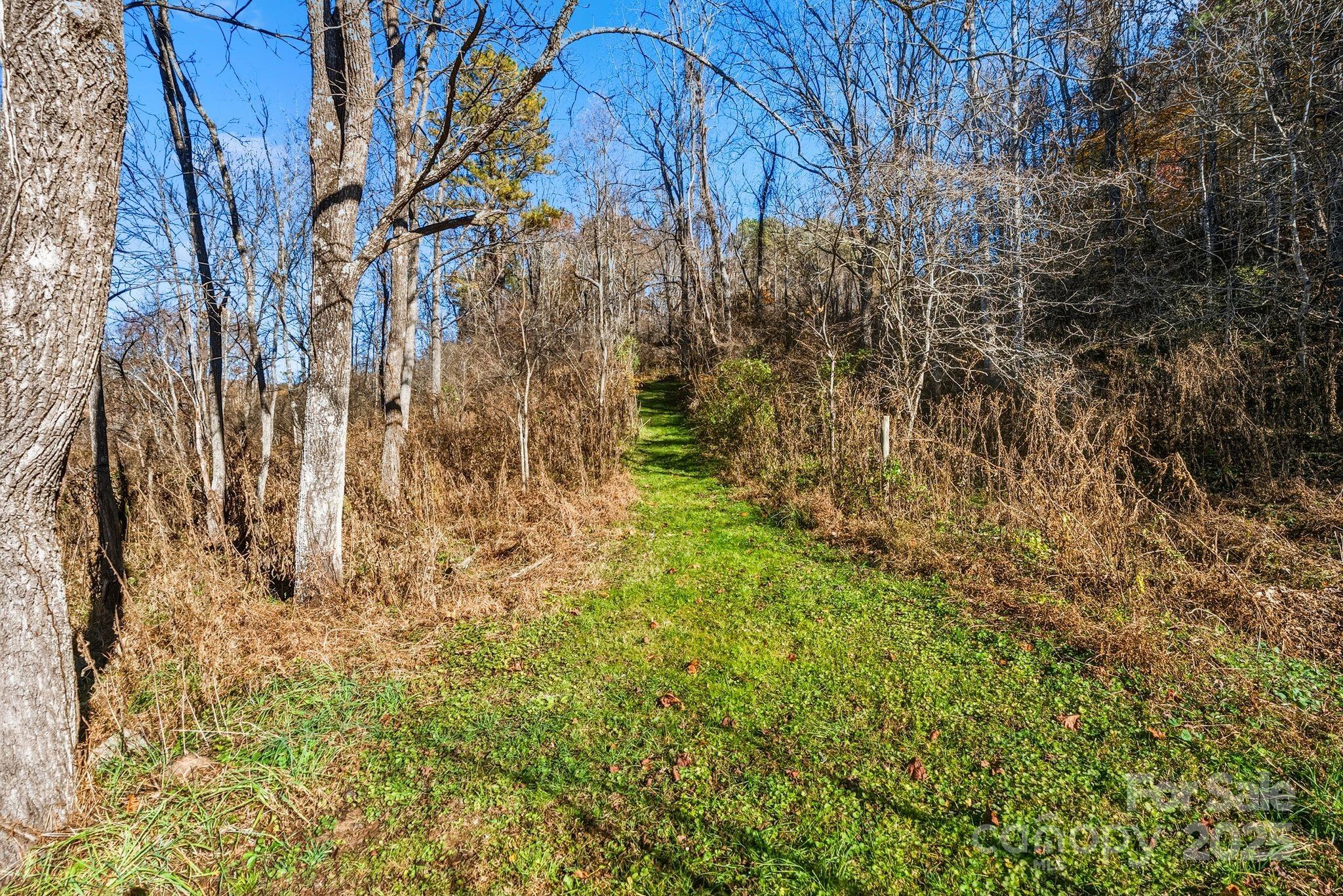 13 Holly Hill Farm Road Mars Hill, NC 28754 - Photo 39 of 44 a backyard of a building with large trees