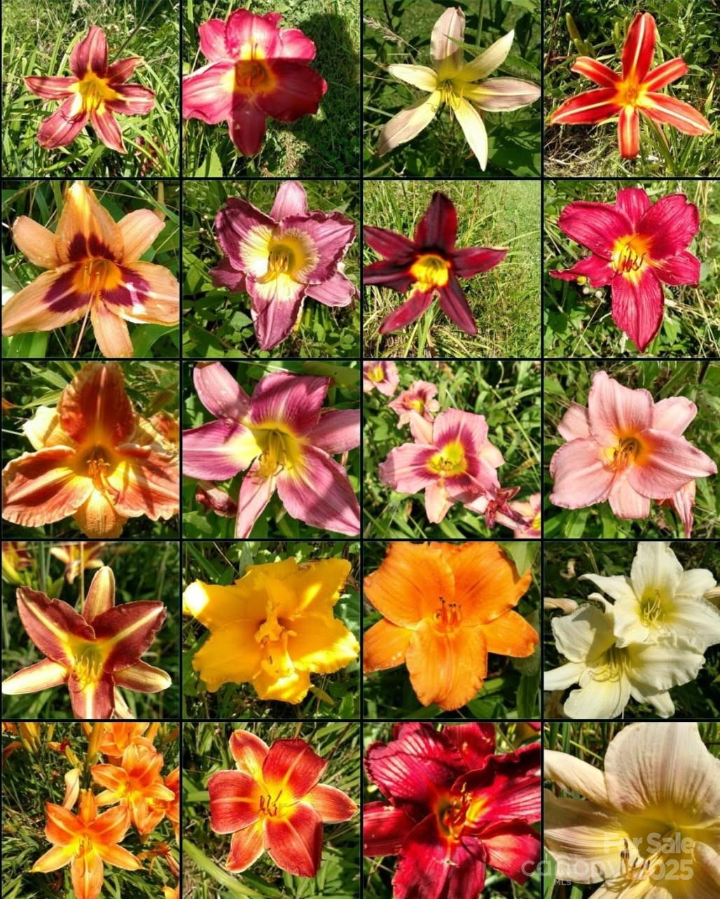 13 Holly Hill Farm Road Mars Hill, NC 28754 - Photo 43 of 44 unknown