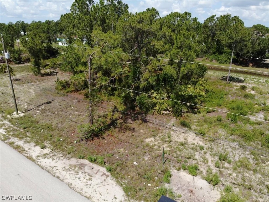 903 Albert Avenue Lehigh Acres, FL 33971 - Photo 4 of 7 a view of a yard with a tree
