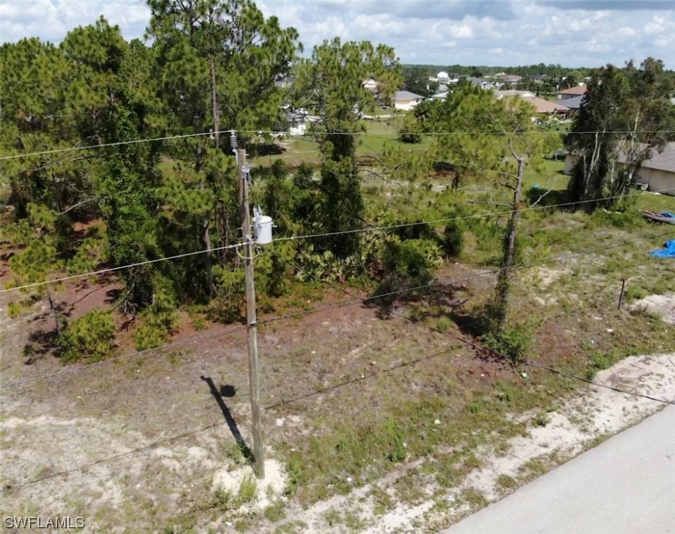 903 Albert Avenue Lehigh Acres, FL 33971 - Photo 5 of 7 a view of a forest with a bench