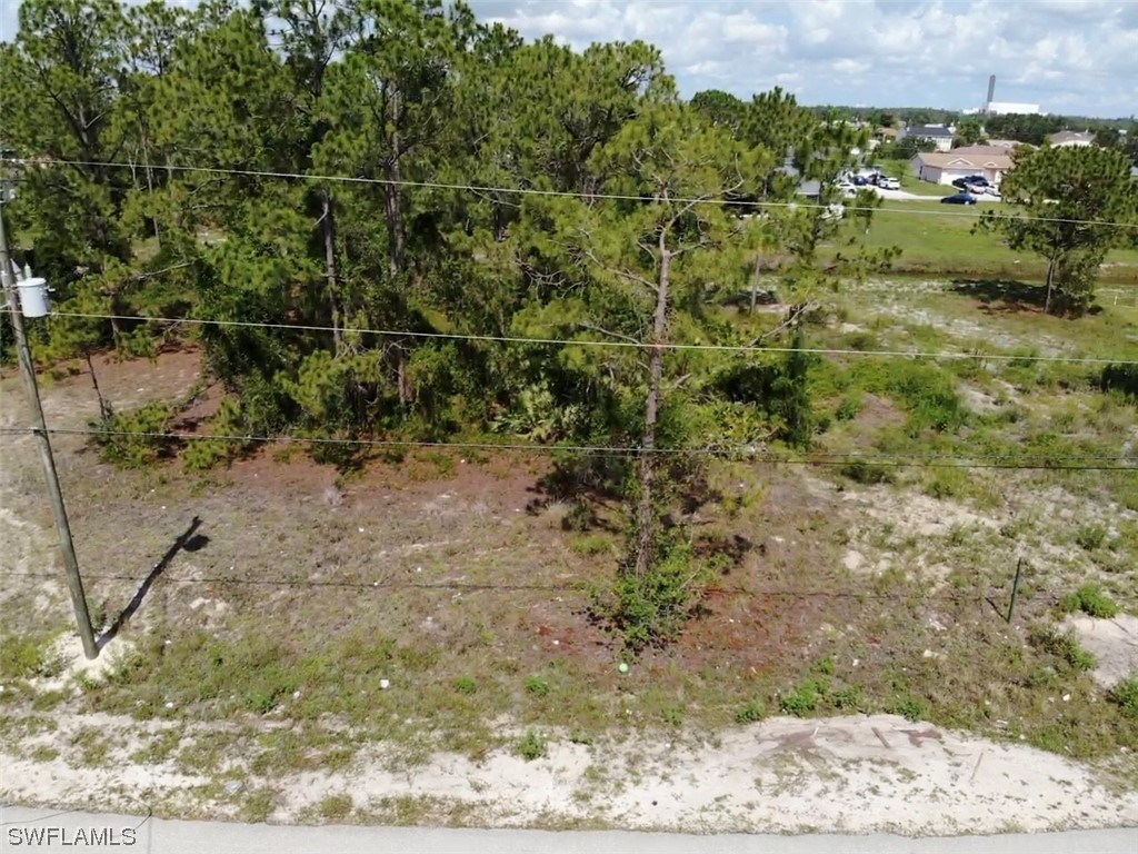 903 Albert Avenue Lehigh Acres, FL 33971 - Photo 6 of 7 a view of a yard with wooden fence