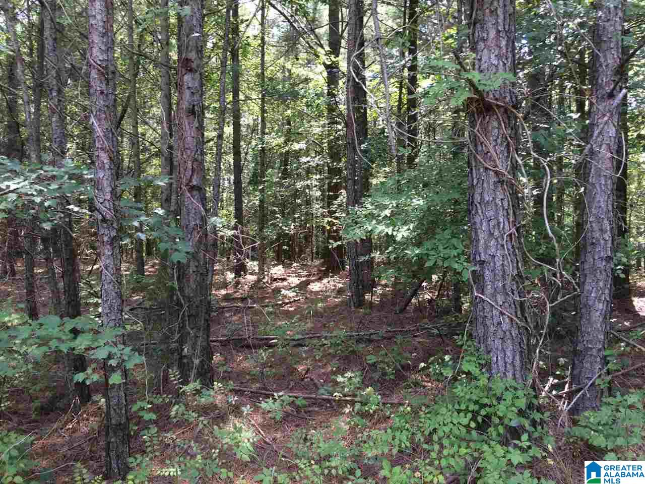 Spunky Hollow Road, Unit 18 7 Oneonta, AL 35121 - Photo 45 of 46