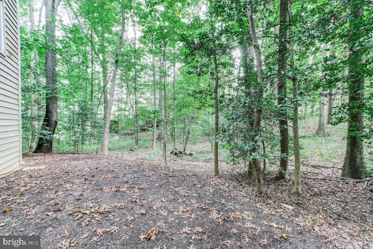 2269 Compass Point Lane Reston, VA 20191 - Photo 34 of 35