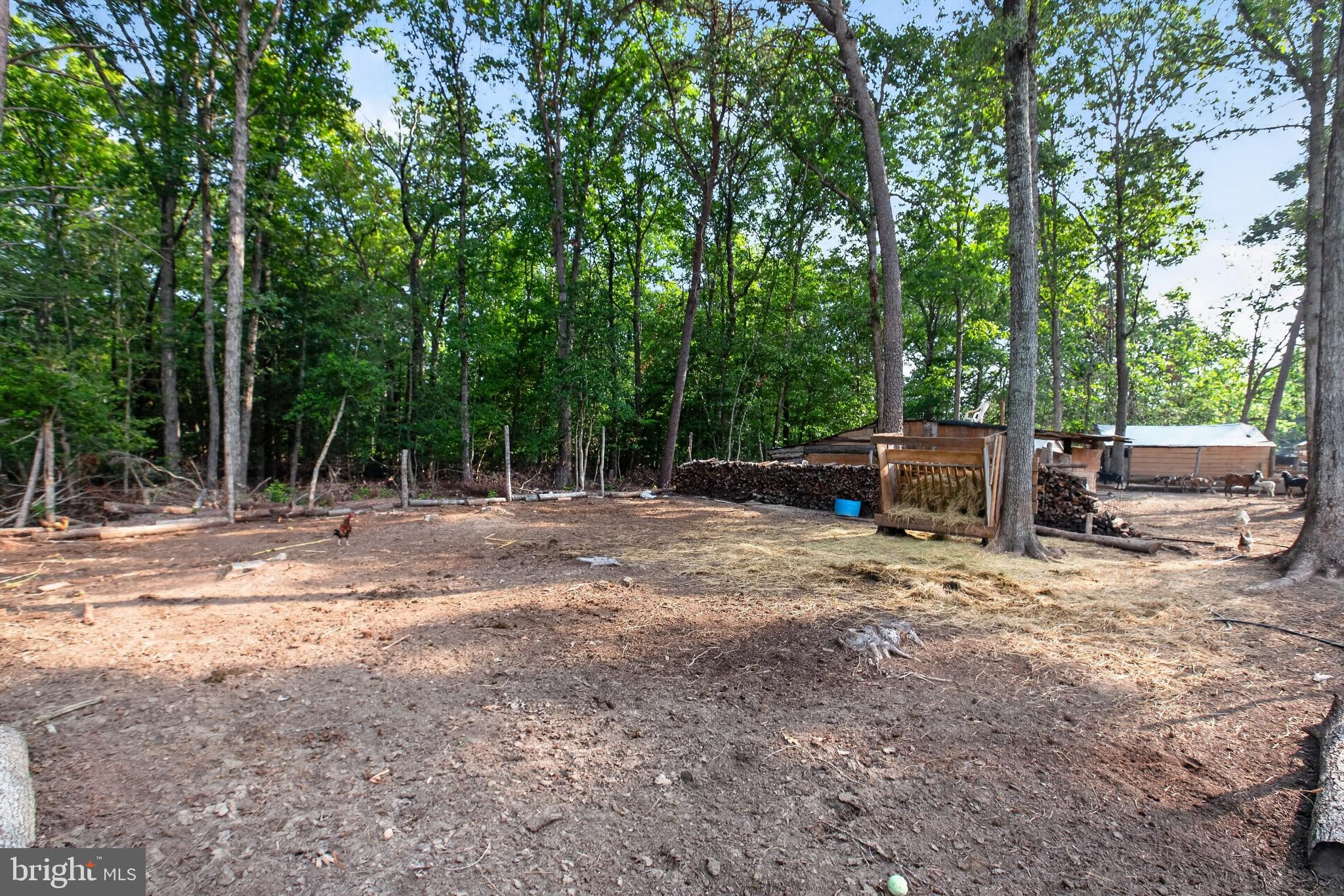 2905 Smith Point Road Nanjemoy, MD 20662 - Photo 20 of 25 Gallery Image 20