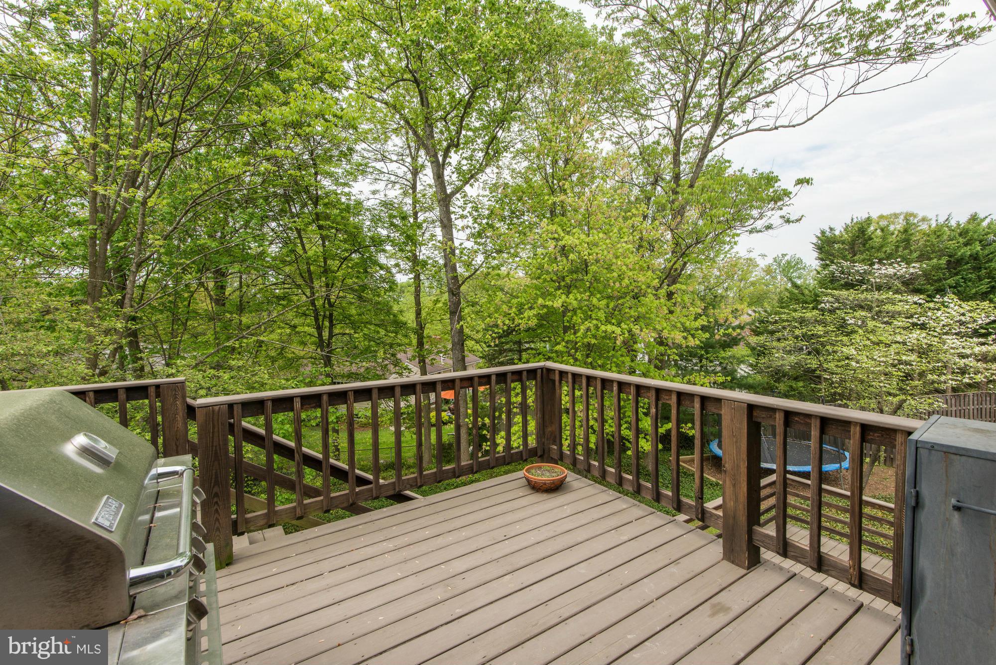6527 East Halbert Road Bethesda, MD 20817 - Photo 12 of 30 Exterior (Rear)