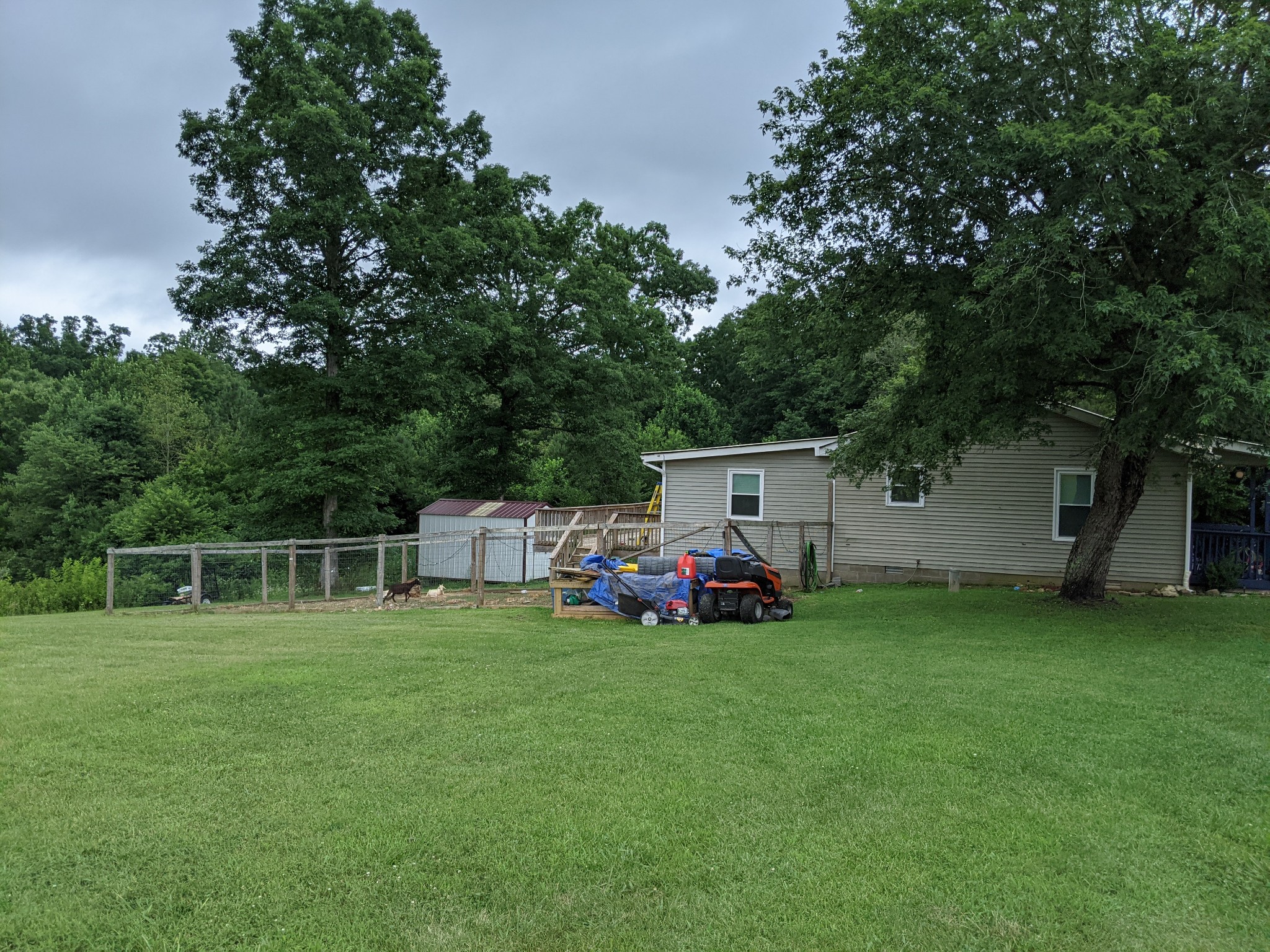145 Rush Branch Road Hohenwald, TN 38462 - Photo 4 of 24 Gallery Image 4