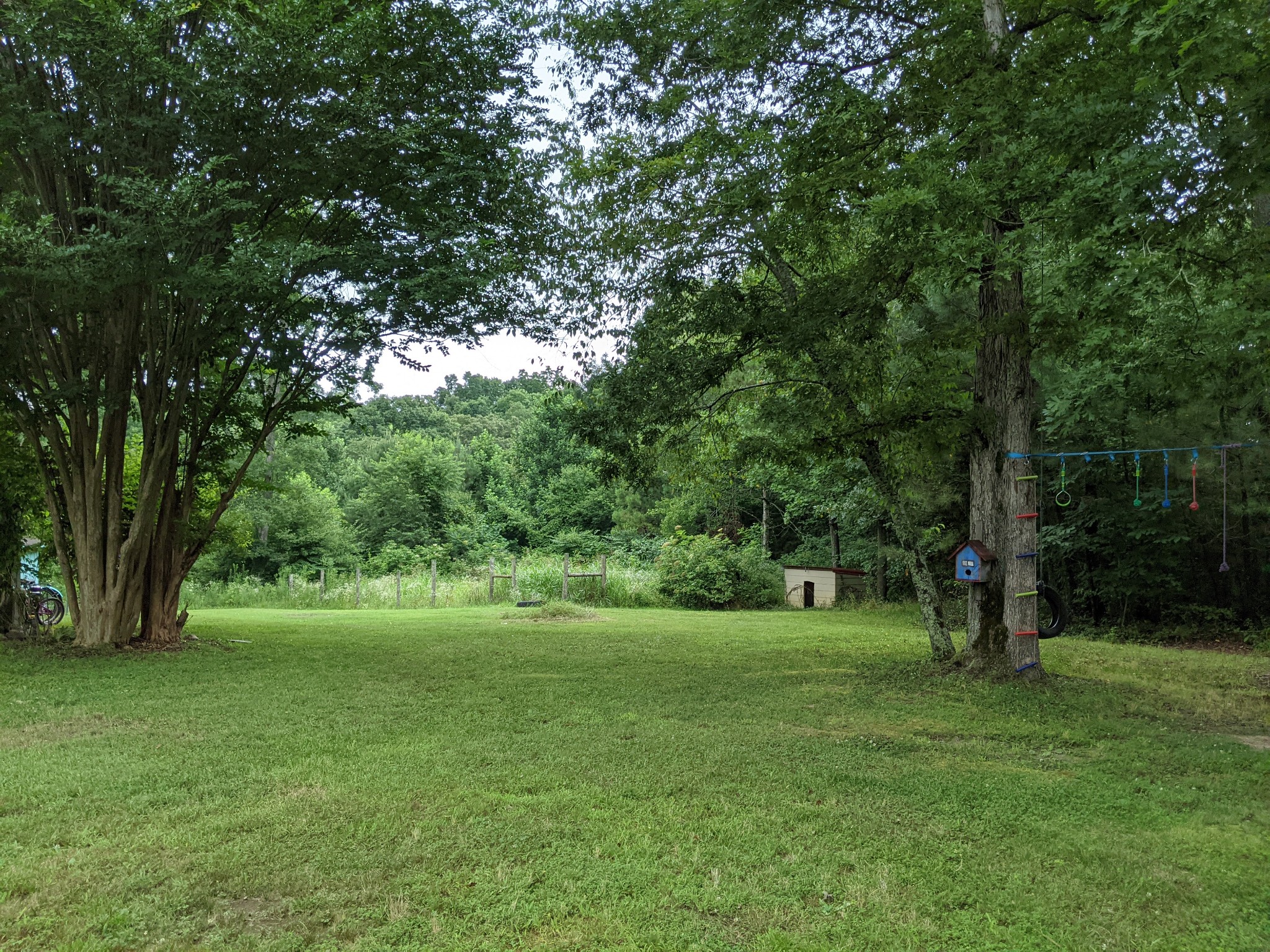 145 Rush Branch Road Hohenwald, TN 38462 - Photo 6 of 24 Gallery Image 6