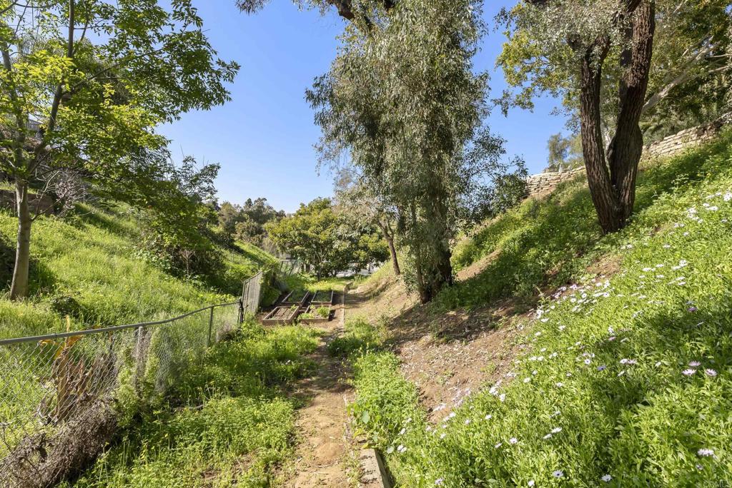 1427 Avocado Road Oceanside, CA 92054 - Photo 49 of 57 a view of a yard with a tree