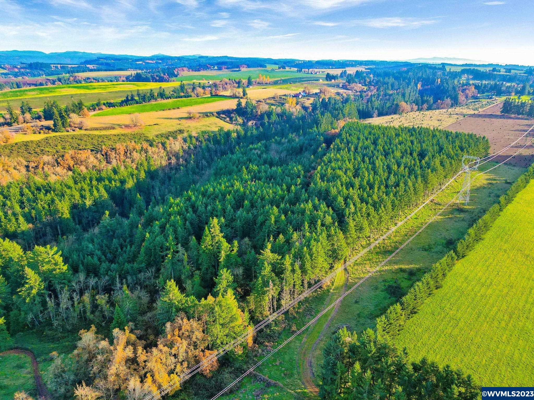 4616 Forest Ridge Road Northeast Silverton, OR 97381 - Photo 19 of 32