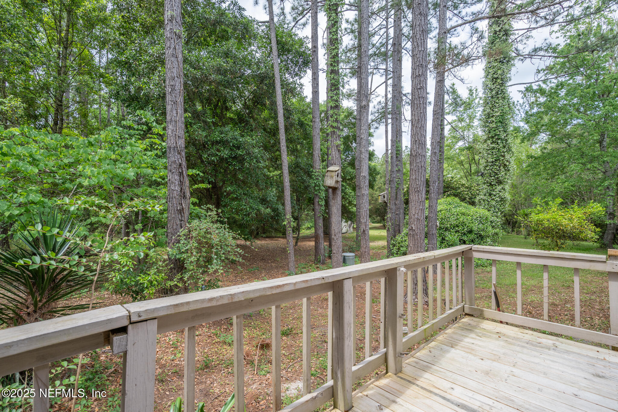 35236 Perret Plantation Road Callahan, FL 32011 - Photo 23 of 41 Back Yard