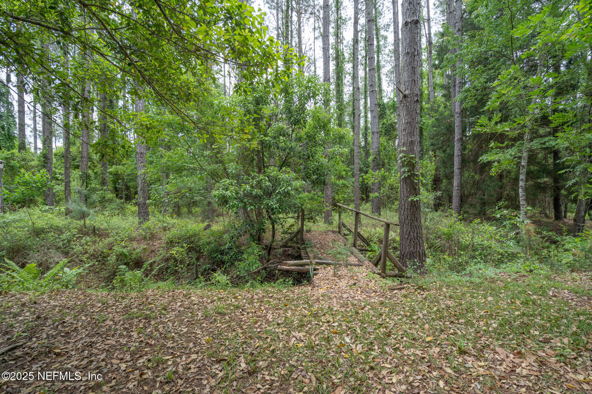 35236 Perret Plantation Road Callahan, FL 32011 - Photo 31 of 41 Back Yard