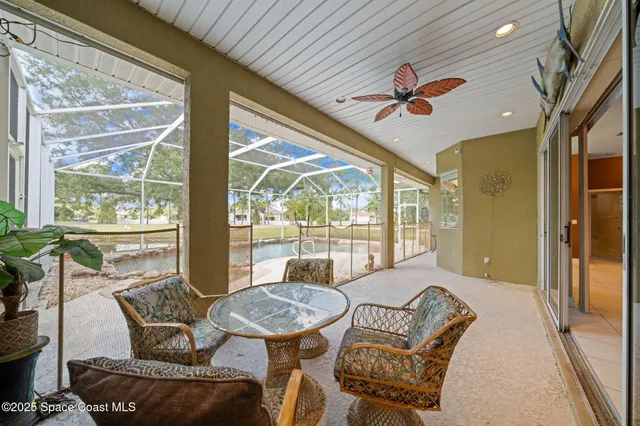 a view of a lake with a large and a large tree