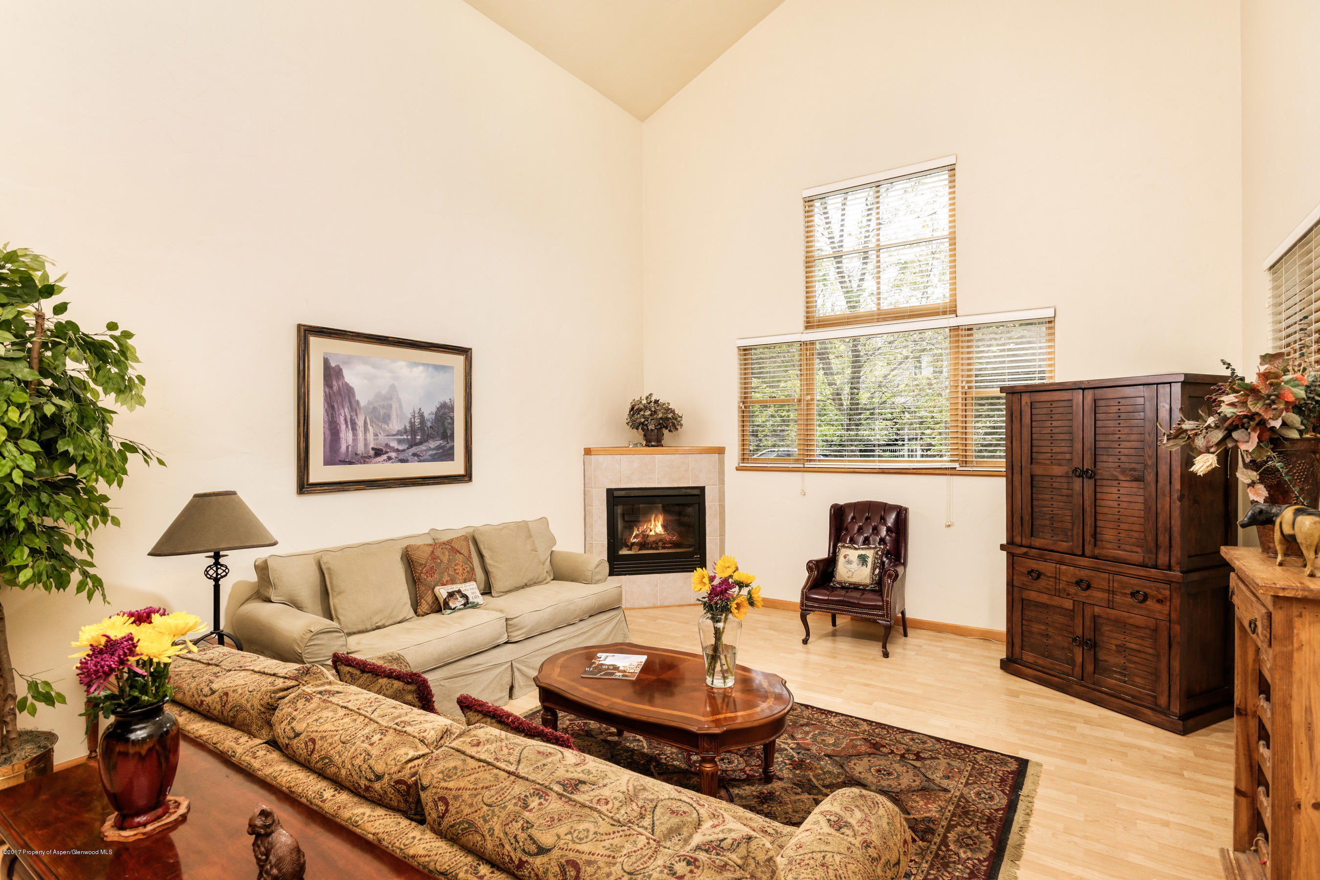 351 Branding Way Basalt, CO 81621 - Photo 1 of 16 351Branding living room close up
