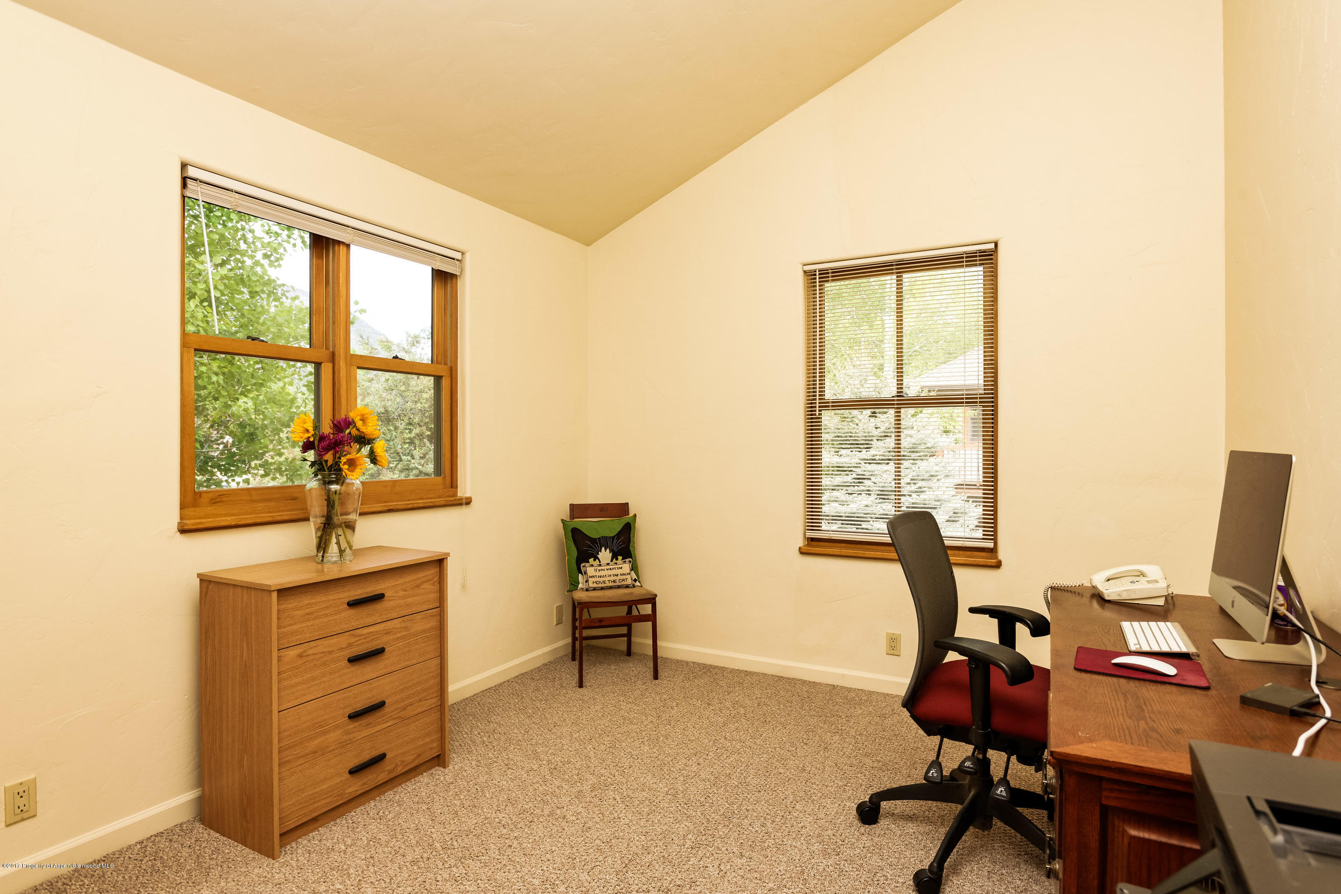 351 Branding Way Basalt, CO 81621 - Photo 12 of 16 351Branding 3rd bed or office