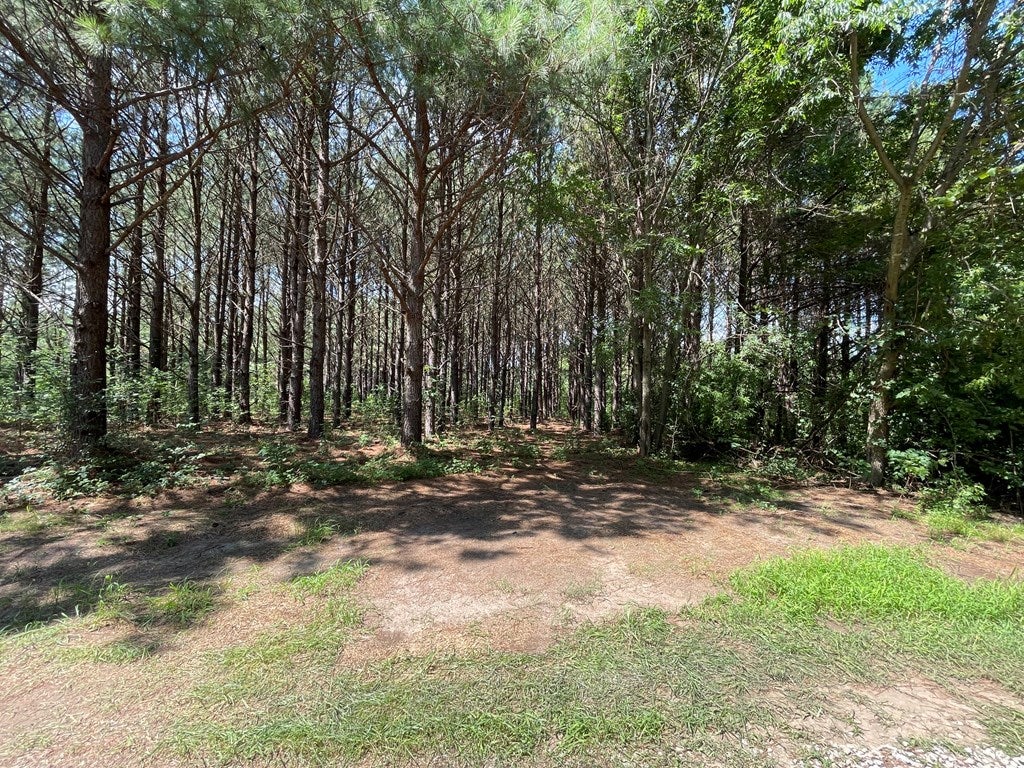 Deer Run Road Blackstone, VA 23824 - Photo 12 of 17 Gallery Image 12