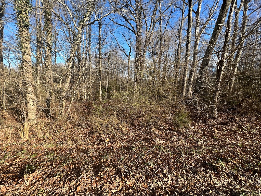0 Lockaby Road Pendleton, SC 29670 - Photo 10 of 10 Gallery Image 10