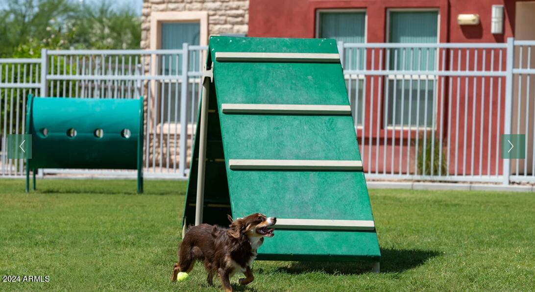 855 West Southern Avenue, Unit 2 Mesa, AZ 85210 - Photo 16 of 21 Dog Park